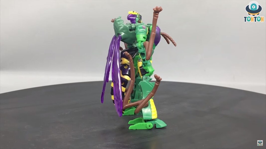 Transformers Kingdom Deluxe Class Waspinator  (11 of 38)
